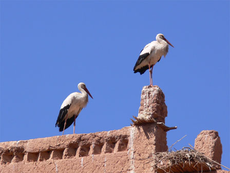 Morocco